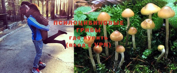 гашишное масло Касимов